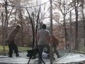 Trampoline wrestling