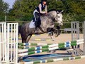 rallye-cheval.html