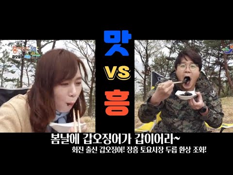 [흥미진진장흥 7회] 갑오징어 맛 기행