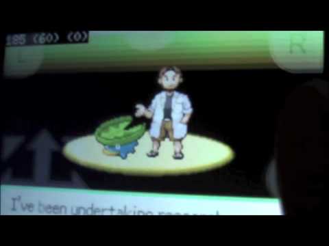 YouTube Preview Image