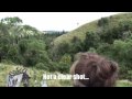 Awesome "Red Stag Hunting" Video in New Zealand.  