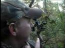 East Texas Whitetails 