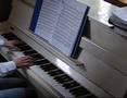 Wild Angel - Joshua Kadison (piano)