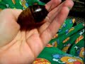 Playtime with Mr. Hobble