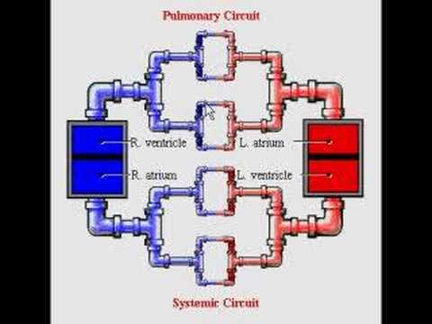 how to help visual learners
