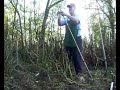 Digging Dahlias Digging Dahlias