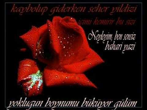öylesine yaşıyorum