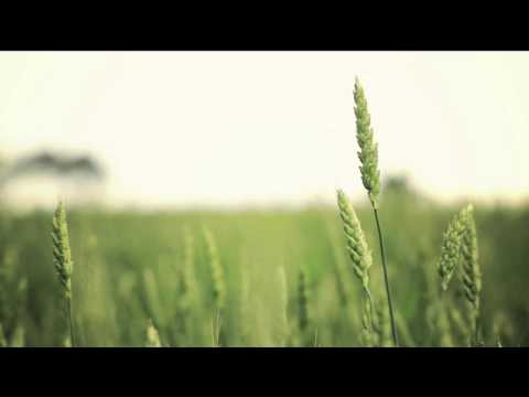 how to grow fresh air pdf