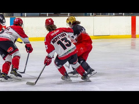 Stepan Nemtyrev regular season goal