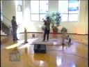Brandon Bailey and Adam Gussow-Memphis T.V.