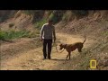 Dog Whisperer 20/26 :  Rock Dog