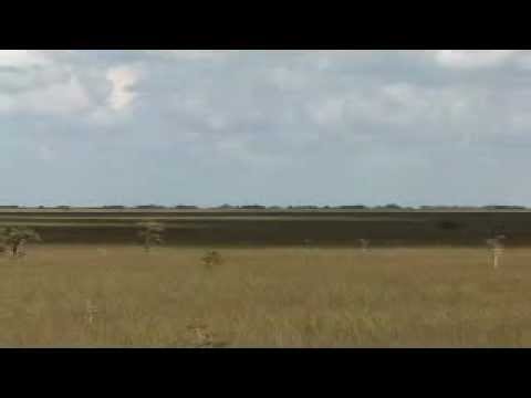 Save the Everglades