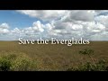 Save the Everglades