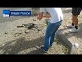 Nueva ola de violencia entre Israel y organizaciones terroristas Misil palestino impacta en una escuela de Beer Sheva Fuerzas de Defensa de Israel se preparan para un ataque con misiles Líderes de Hamas se trasladan a El Cairo Peres visita las instalaciones de Google en California y recorre virtualmente su tierra natal