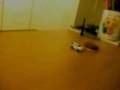 The Jungle Desk