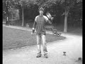 Harlem Diabolo Harlem Diabolo