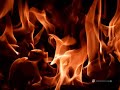 The Sounds - Fire