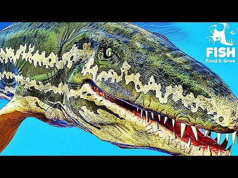 LE NOUVEAU POISSON LE PLUS PUISSANT DU JEU ! | Feed and Grow: Fish