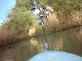 RC Speed Boat at Knepp Castle Pond