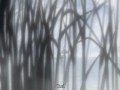 Princess Tutu -Bye bye sol The sacados