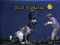 Greetings from the Jackalopes