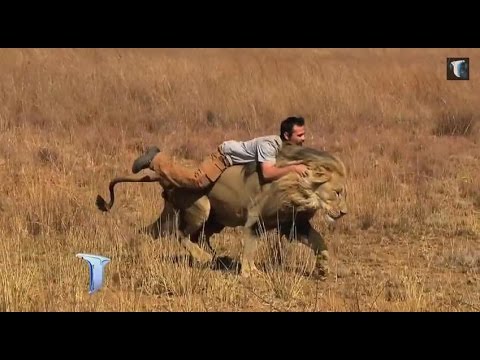 Telenoche - Corazón de León - Parte I