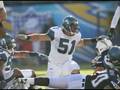 Lofa Tatupu Seattle Seahawks Tribute