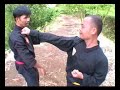 Sample of the DVD PAMACAN Volume 1