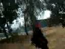 albanian fighter