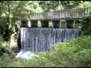 Bodnant gardens waterfall