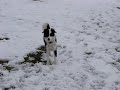 2009_1209CarleyVideo0003.AVI