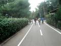 videos de La pista ciclabile a Portosole Sanremo last hotel