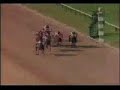 SECRETARIAT - 1973 Preakness Stakes Recap SECRETARIAT - 1973 Preakness Stakes Recap