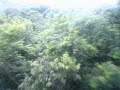 Guanacaste Zip lining