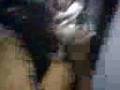 peleas callejeras luis vs keving por heisys parte 3