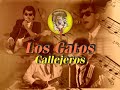 Los Gatos Callejeros de Honduras