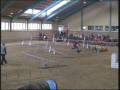 1 +2. Agility WM-Qualifikation 2009 Chilly & Pepper