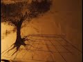 To grow up.mov To grow up.mov