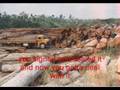videos de Scorpions- Humanity.wmv