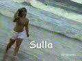 Thycy e Sulla 20052007