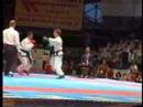 Taekwondo-ITF-Europe