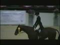 videos de Capital Challenge WHJ Challenge 08.avi