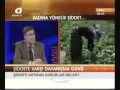 Kadına Yönelik Şiddet (Kanal A) - Part1