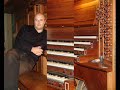 Brandenburg concert 3 first movement - Allegro -Transcription by Omar Caputi in 1992The organ is Zanin's organ in Saint Rita church.