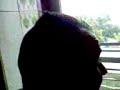 Mits xwris mantinada