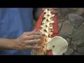 Manipulation Under Anesthesia - M.U.A.