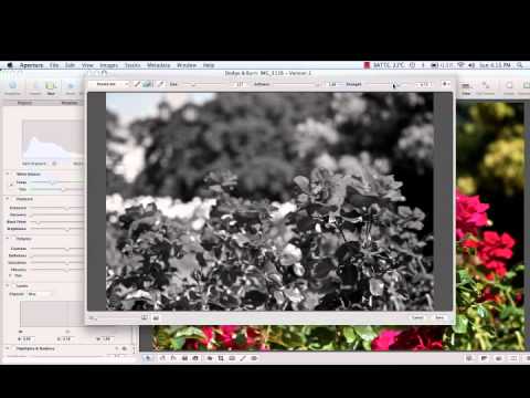 how to isolate color in aperture