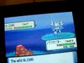 Shiny Gligar PLUS SHINY PATCH!!