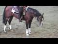 FEI World Reining Championship 2008, #12 Jan Boogaerts BEL
