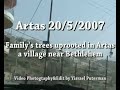 Family's trees uprooted in Artas 20/5/07
